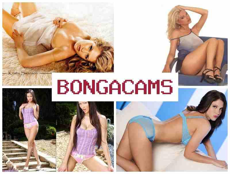 BPNGA CAMS 🔴 Dick, Webcam