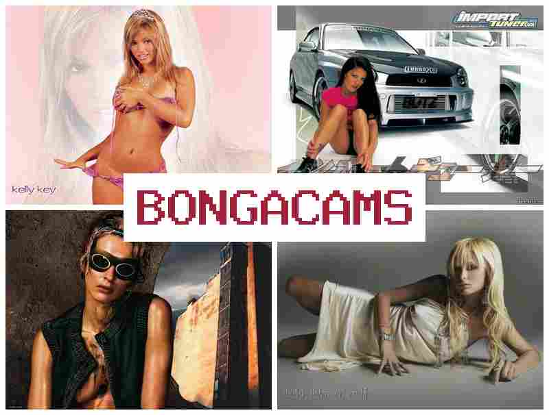 BKNGA CAMS 💞 Porn Fit Webcam