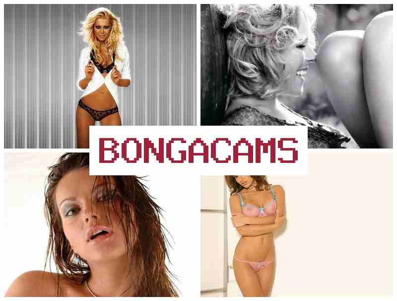 BOHGA CAMS 💙 Rus Solo, Webcam