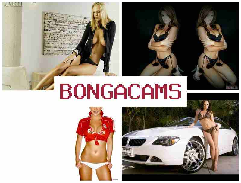BOMGA CAMS ♥ Russian TGirls Webcam