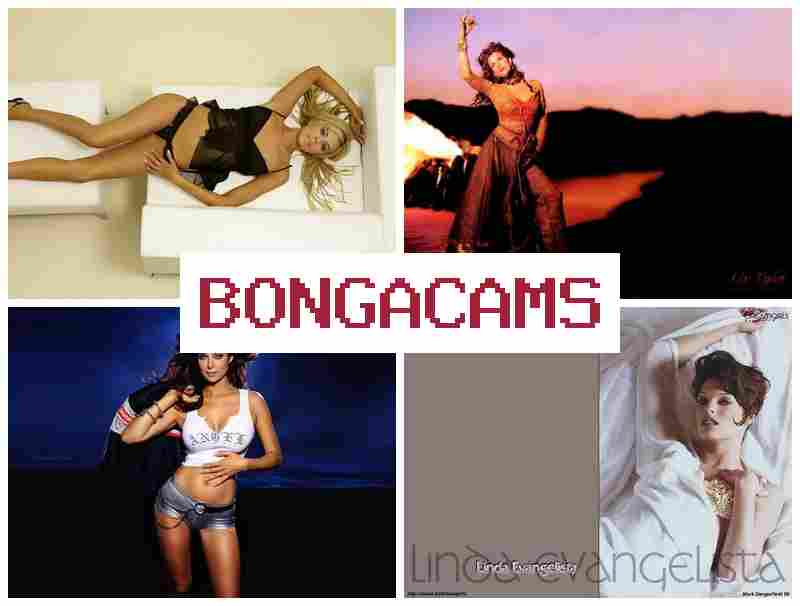 BONFA CAMS 🔷 Free Webcam COM