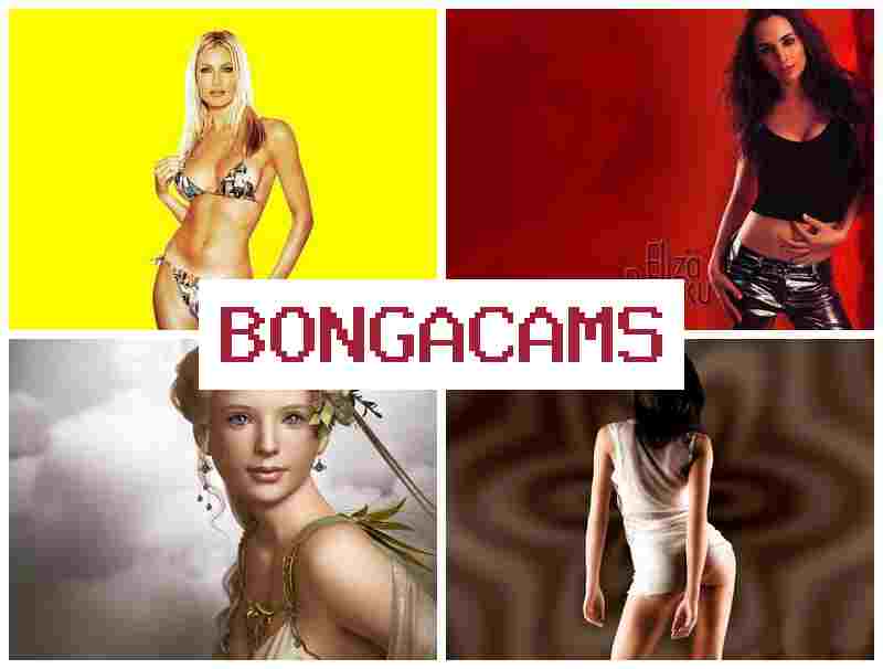 BONVA CAMS 🌟 Webcam TG Chat Porn