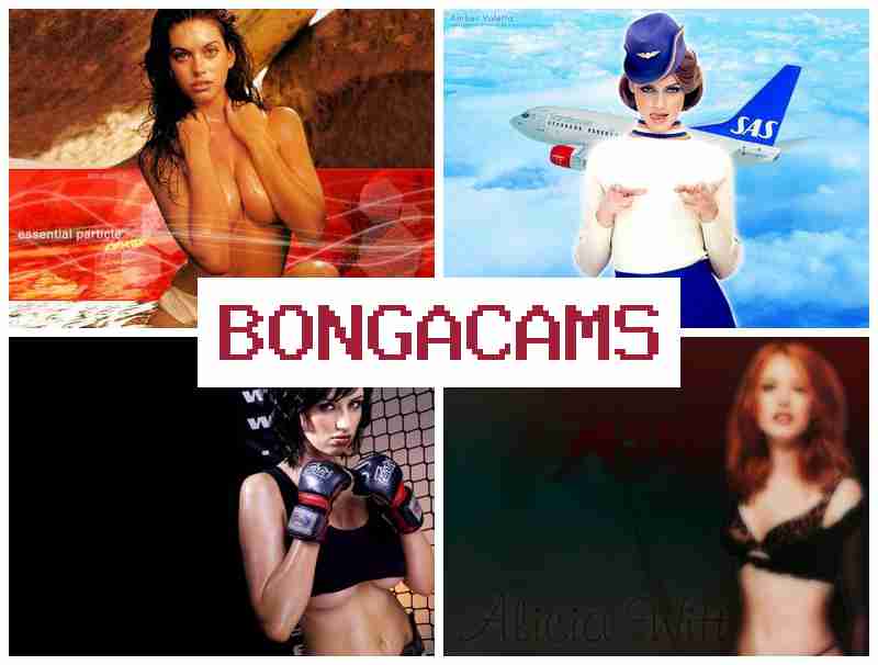 BONGQ CAMS 💻 Webcam Small Girls