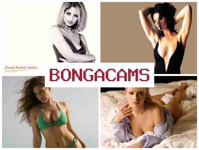 BONGS CAMS 🌟 Solo Strip Webcam