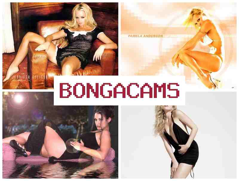 BONGGACAMS ▒ 1 Vs 1 Video Chat