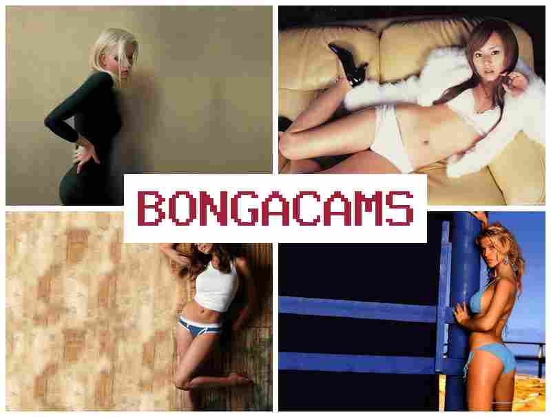 BONGA XAMS ✔️ Webcams Cat