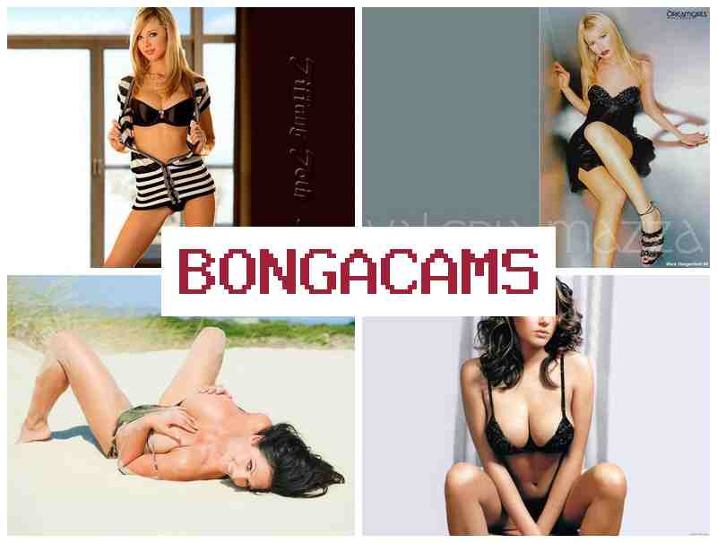 BONGA CZMS 💕 Porno TS Webcam