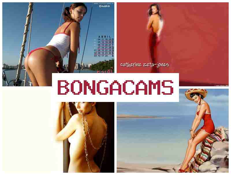 BONGAACAMS ✔️ Brutal Anal Fist Webcam