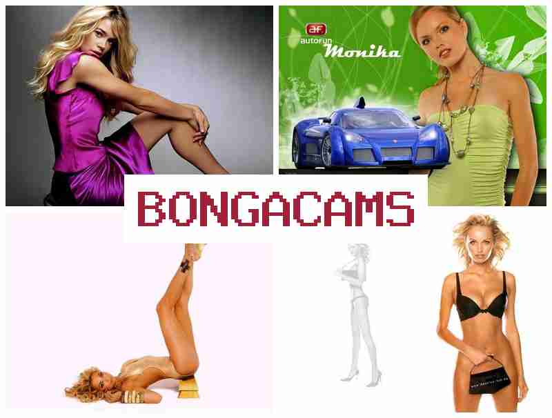 BONGA CAJS 🔵 Webcam Girl Fap