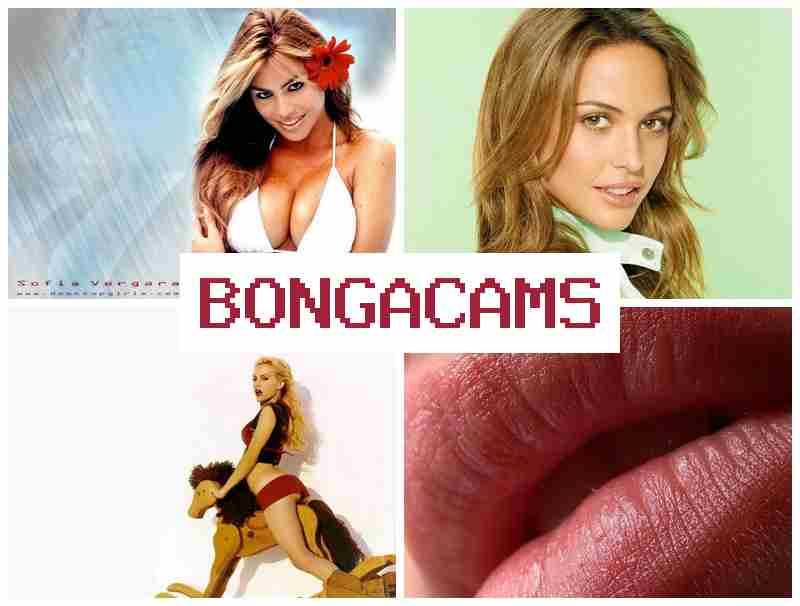 BONGA CAMW 💟 Model Webcam Solo