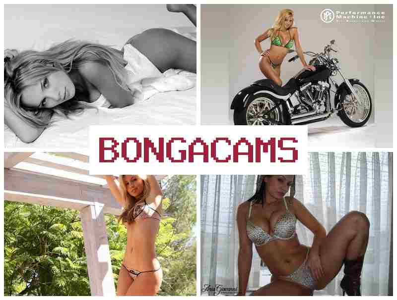 BONGA CAME 💟 Webcam Private REC