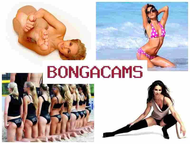 BONGA CAMZ 💕 Big Pussy Solo, Webcam