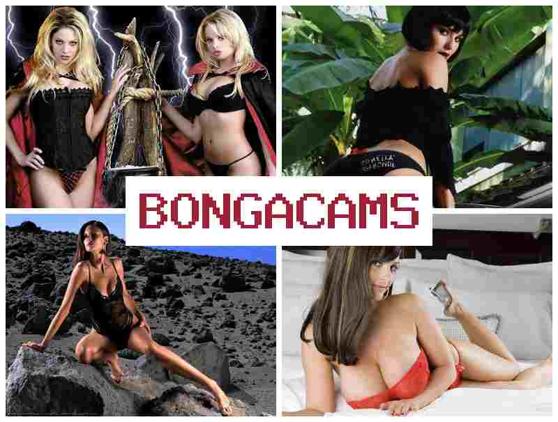 BONGACAAMS 💏 Natural Tits, Solo, Webcam