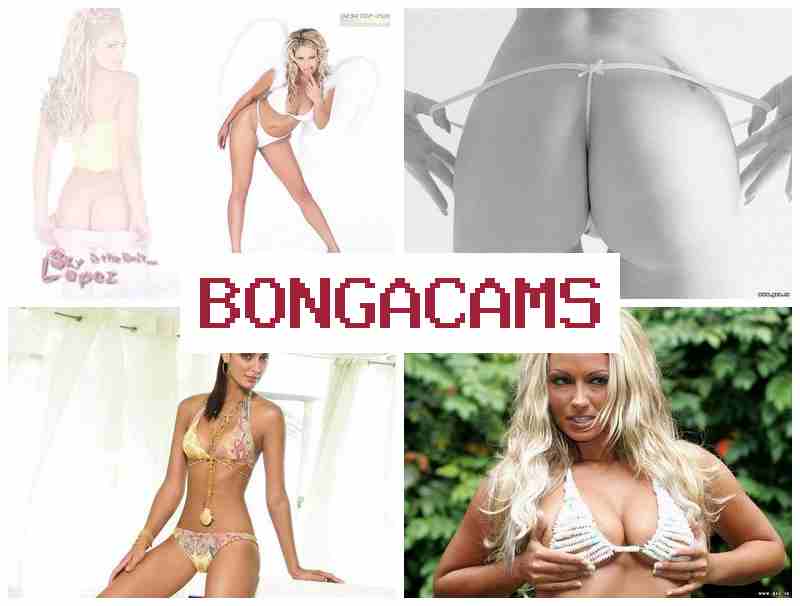 OBNGACAMS 🔺 Webcam Sex Orgy
