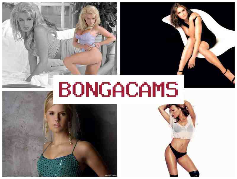 BNOGACAMS 💜 Webcam, Anal Stream