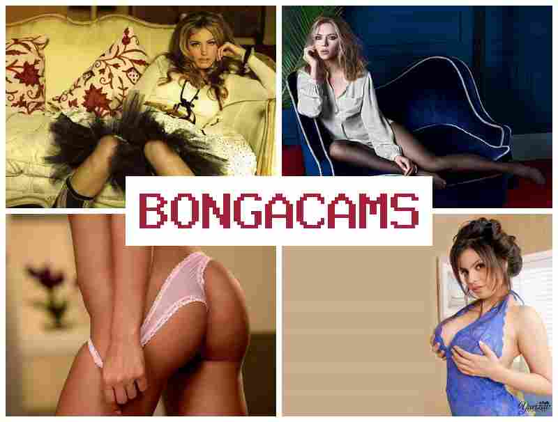 BONGACMAS 💞 Voyeur Webcams