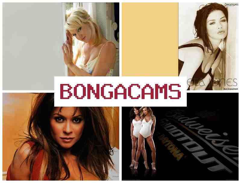 BONGACASM 📹 Webcam Clips