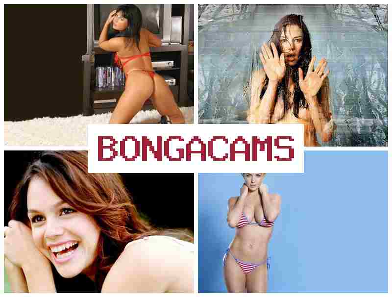 B9NGACAMS 🎥 Teen Webcam Girl Porno