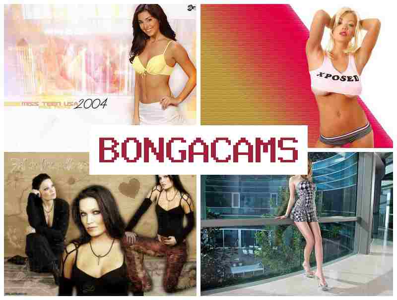 B0NGACAMS 💛 Catlive Webcam Video