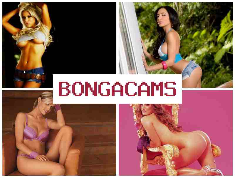 BOBGACAMS 🔔 Big Boobs, Webcam XXX