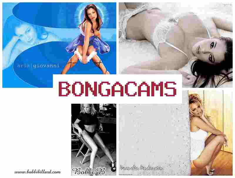 BOJGACAMS 😍 Kitty Cute Webcam Forum