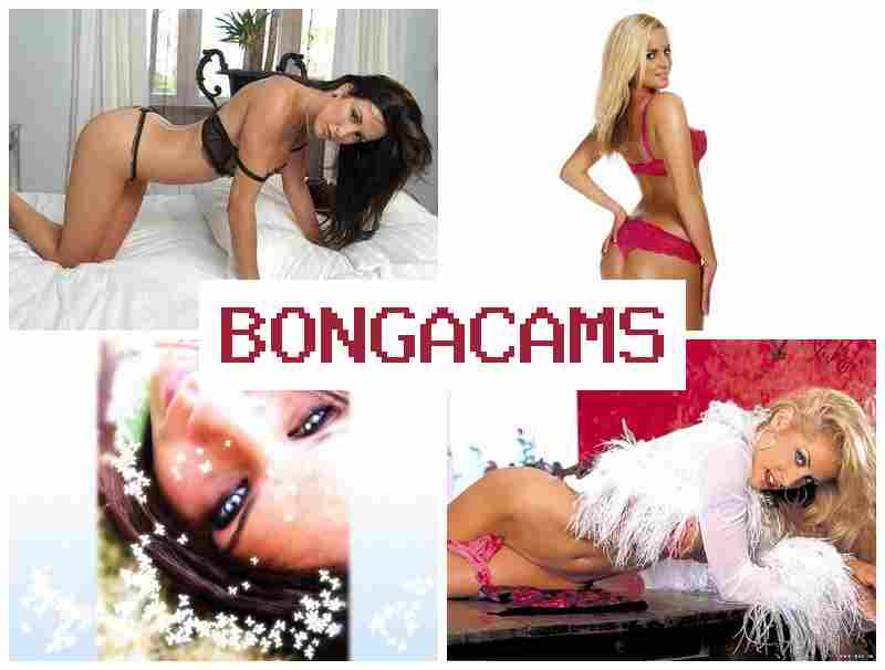 BONGAAMS 🌟 Cam Video Webcam Porn
