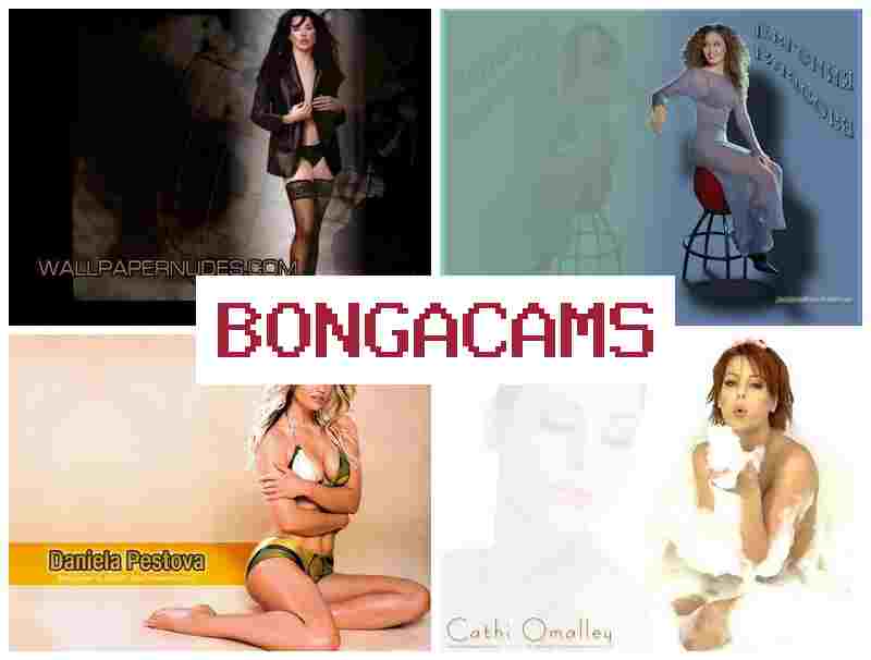 BONGADAMS 🎇 Webcam Cosplay Pussy