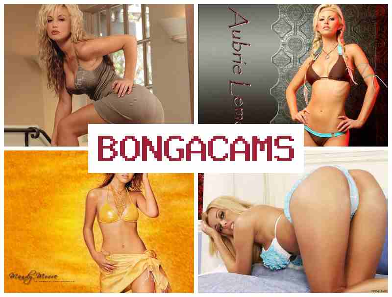 BONGAVAMS 💕 Anal Solo, Webcam Porn