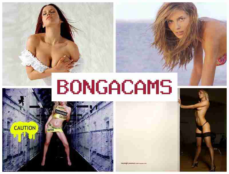 BONGACWMS 🔶 Big Ass Masturbation, Webcam