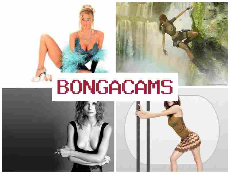 BONGACANS 💛 Anal, Webcam Couple Porn
