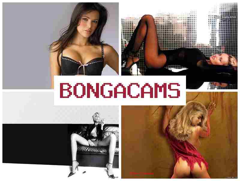 BONGACAKS 👠 Asian Webcam HD