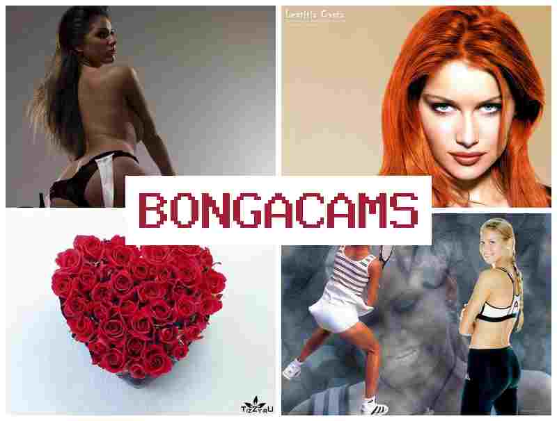 ONGA CAMS ᐉ Webcam Sharing