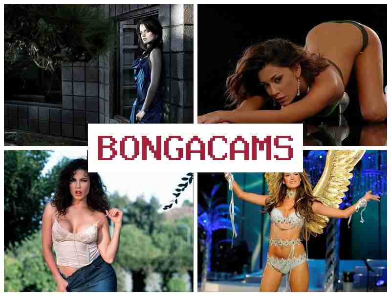 BOGA CAMS █ Webcam, Teen Solo Girl Masturbating