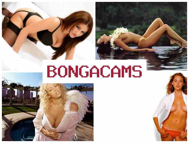 BONGACAMS 🔺 Masturbate, Webcam Show