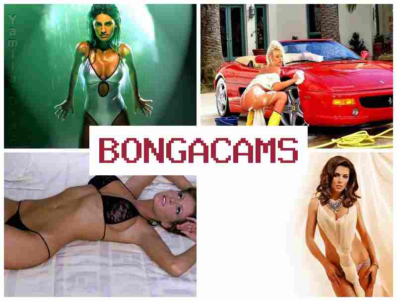 BONGA AMS 🔻 Online Video Chat #1