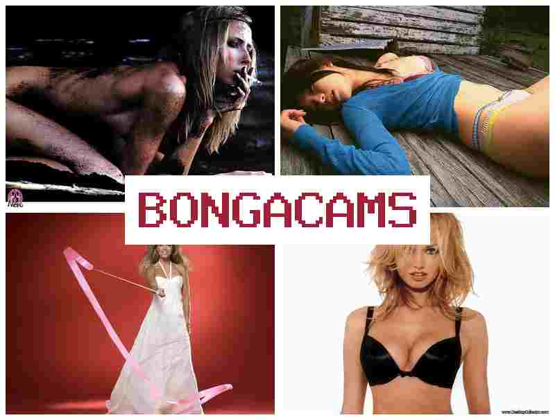 BBONGA CAMS 💘 Dirty Chat Video Call