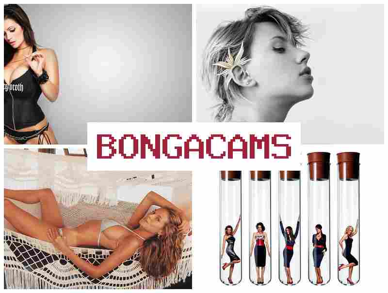 BONGGA CAMS 🔔 Webcam Younger Solo