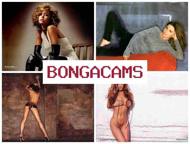 BONGA  CAMS 💯 Big Babes Webcam