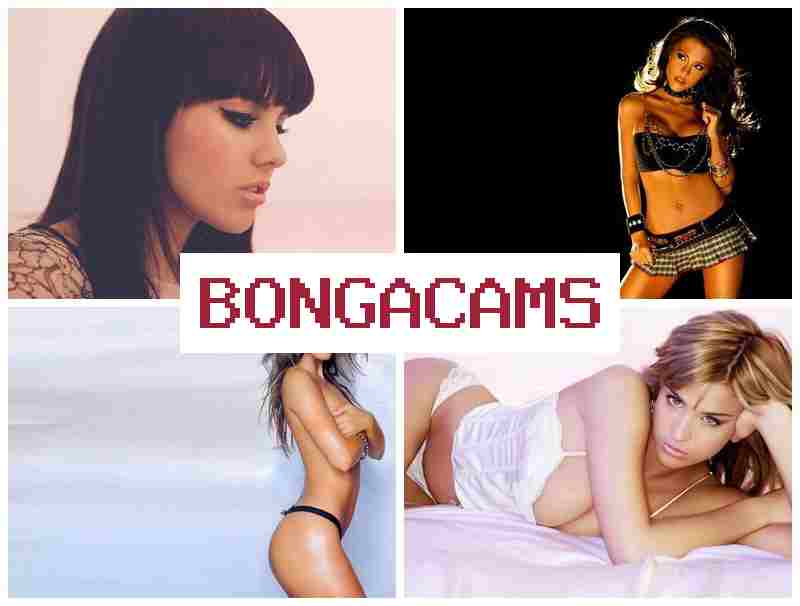 BONGAC AMS 💏 English Video Chats